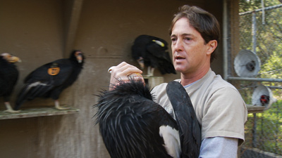 Michael Clark of the Los Angeles Zoo